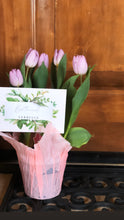 Load image into Gallery viewer, The Tulip.