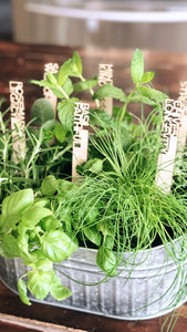 Love + Legacy Herb Garden- SIX PACK