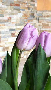 The Tulip.