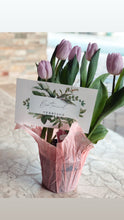 Load image into Gallery viewer, The Tulip.