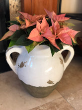 Load image into Gallery viewer, The Poinsettia
