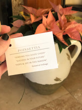 Load image into Gallery viewer, The Poinsettia