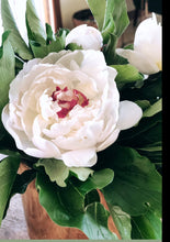 Load image into Gallery viewer, the peony.