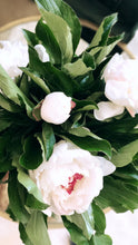 Load image into Gallery viewer, the peony.