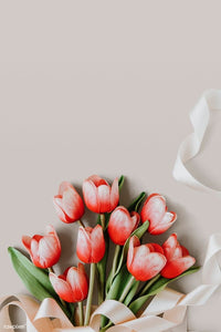 The Tulip.