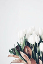 Load image into Gallery viewer, The Tulip.