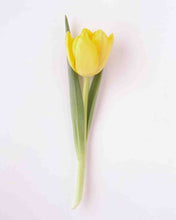 Load image into Gallery viewer, The Tulip.