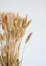 Load image into Gallery viewer, lagurus grass// bunny tails // &quot;heart of gold&quot;
