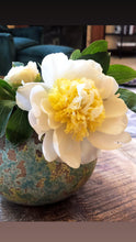 Load image into Gallery viewer, the peony.