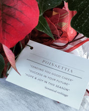 Load image into Gallery viewer, The Poinsettia