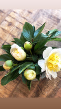 Load image into Gallery viewer, the peony.