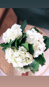 the hydrangea: “perseverance”